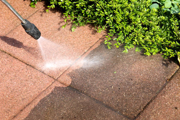 Best Affordable Pressure Washing  in Riviera Beach, MD